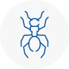 Ant Removals In Studham