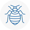 Bed Bug Extermination In Studham