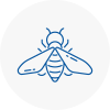 Bee Nest Removal Studham