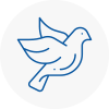Bird Prevention Studham
