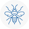 Studham Hornet Nest Removals