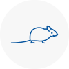 Mice Exterminators In Studham