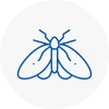 Moth Control Specialists In Studham