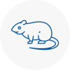 Rat Control Studham