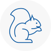 Studham Rodent Removals